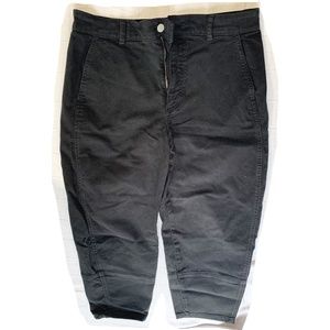 Everlane Utility Barrel Pant